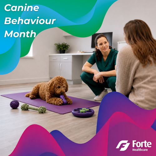 Forte Healthcare Supports Veterinary Teams with New Canine Behaviour Month Initiative