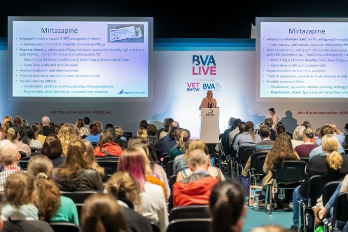 BVA Live 2024 – considering contextualised care