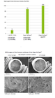 Stainless Steel for Hydrogen Applications