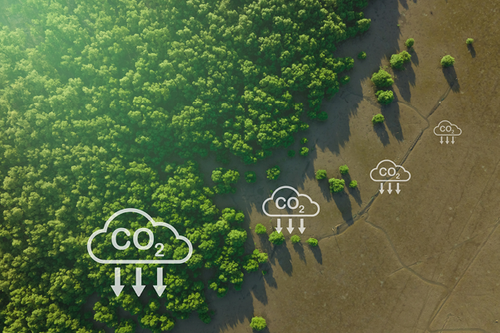 Research conducted by Teesside University has found a way to reduce Co2 emissions with recycled waste