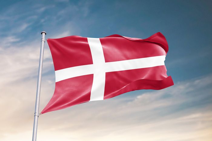 NCC and Ørsted to build carbon capture plant in Denmark