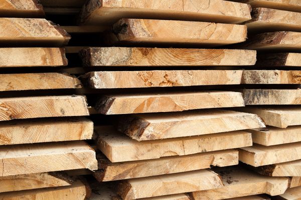 Metsä Group and ANDRITZ plan to investigate CCS opportunities in a wood processing mill