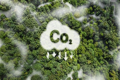 Bison has received approval for their Meadowbrook Carbon Storage Hub