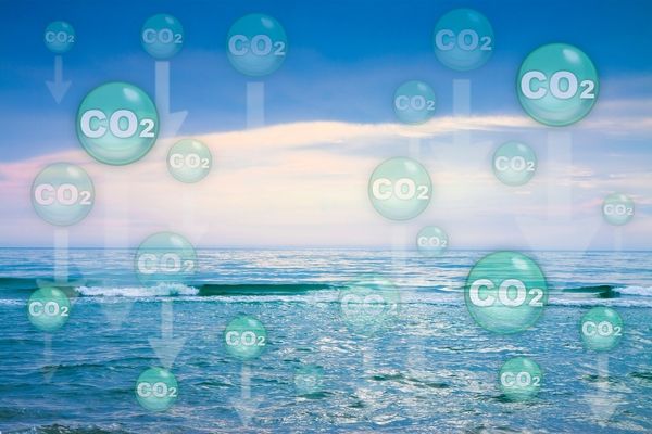 A new collaboration between VTT and Mitsubishi Electric will focus on capturing CO2 directly from marine environments