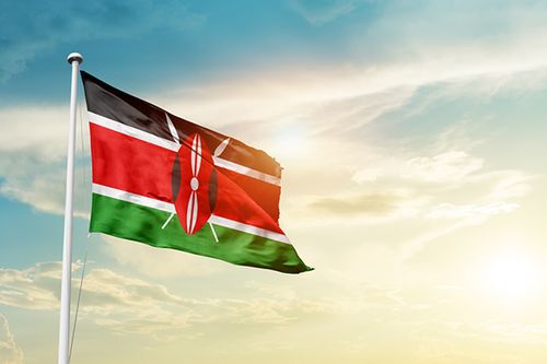 A CCS partnership has been established in Kenya between RepAir and Cella