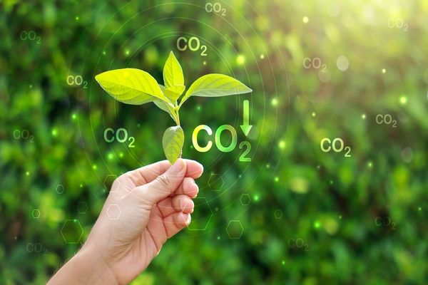 An agreement over a CO2 carrier has been made between Project Greensand and Royal Wagenborg