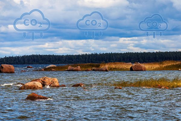 A new method dedicated to searching for carbon storage sites has been discovered through uploading data to the North Sea archive