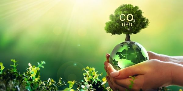 Minnesota Start Up Carba Aims to Permanently Remove CO2 by Mimicking ...