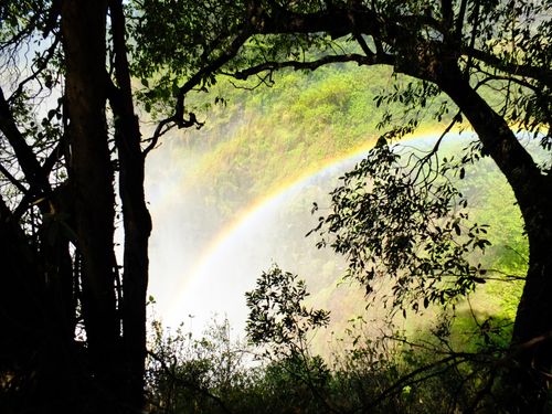 Blue Carbon and Zambia Sign MoU to Collaborate on Carbon Removal Projects in the Forest Sector 