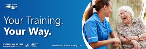 Blue Stream Academy