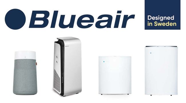 BEAM GROUP- BISSELL COMMERCIAL AND BLUEAIR