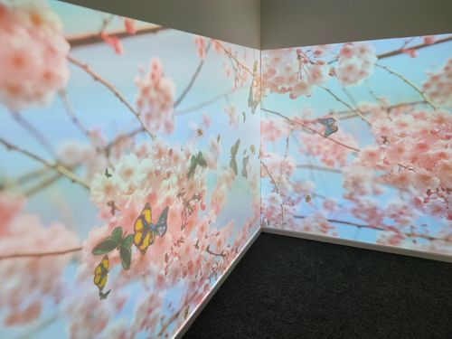 Sensory Immersive Rooms