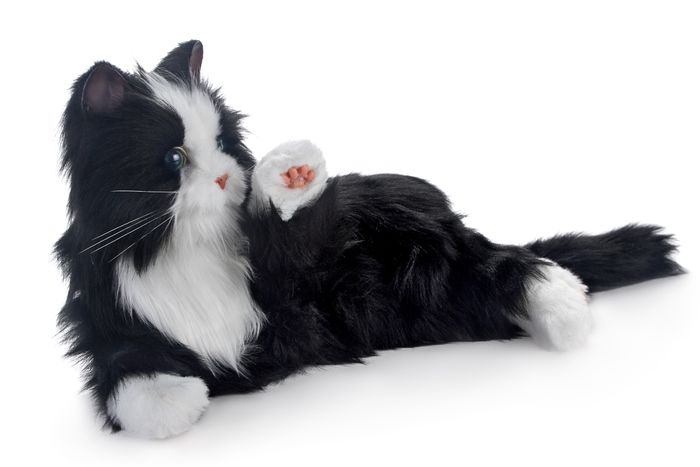 Joy For All- Robotic Cat Companion Pet