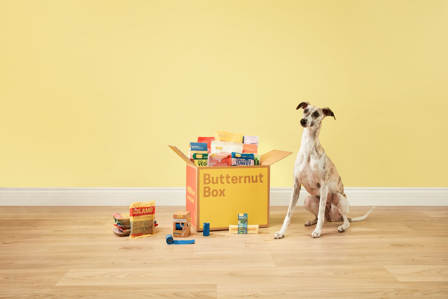 Dogmates Ltd