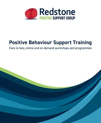 Positive Behaviour Support Training 