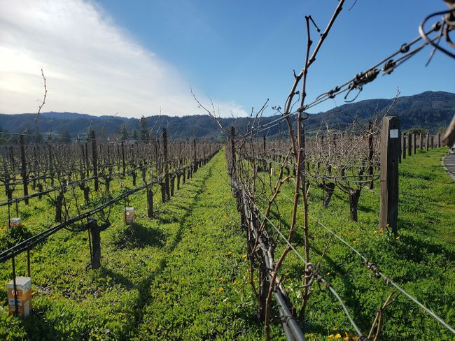 Opus One expands Chart carbon capture solution