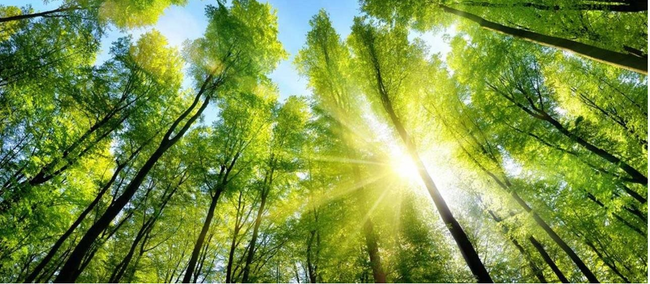 Chart and Bloom Energy team up on carbon capture