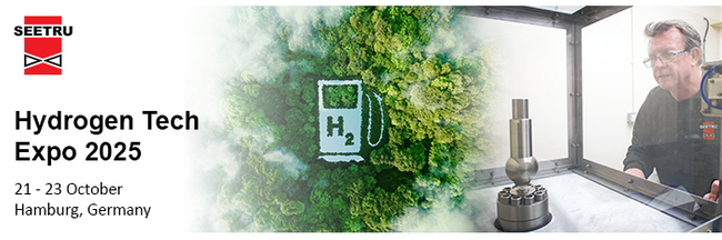 Seetru Safety Valves Supporting the Future of Hydrogen