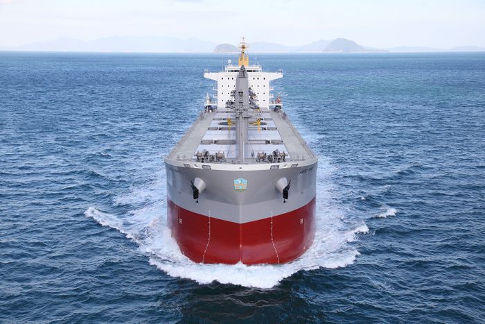 Ammonia and methanol as sustainable hydrogen carrier for future mobile and stationary applications