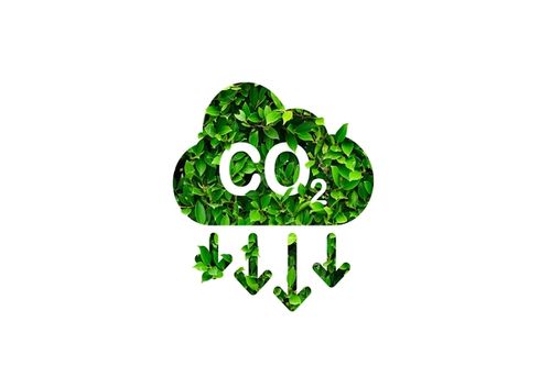 The First Official Certification Framework for Carbon Removals has been approved by the EU