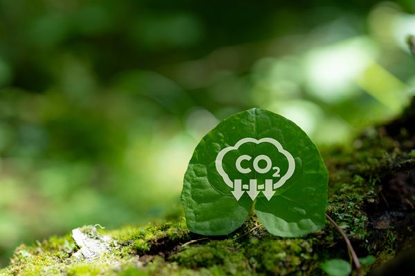 Research proves that charged molecule layers improves direct air capture of CO2