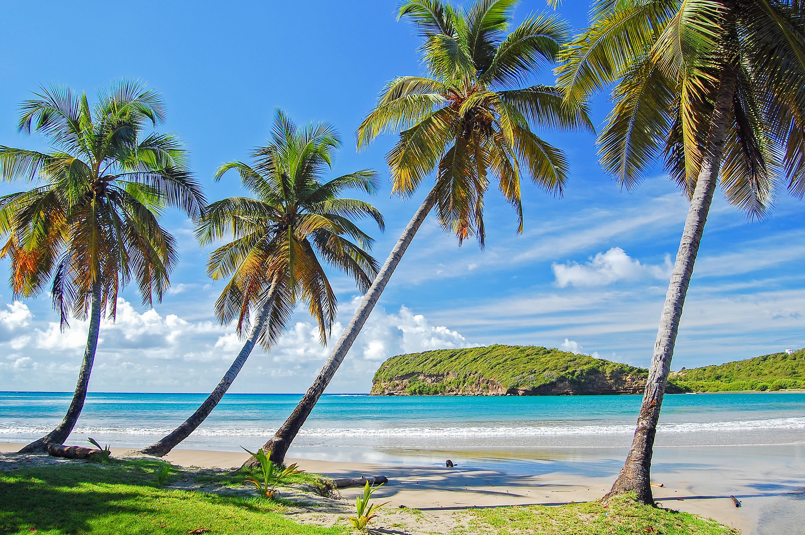 Win a Trip to Grenada!
