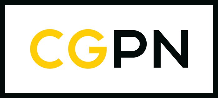 Central Government Partnership Network