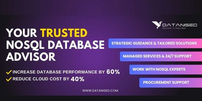Datanised launches Enterprise Advisory Service to provide support for companies navigating technology transformations