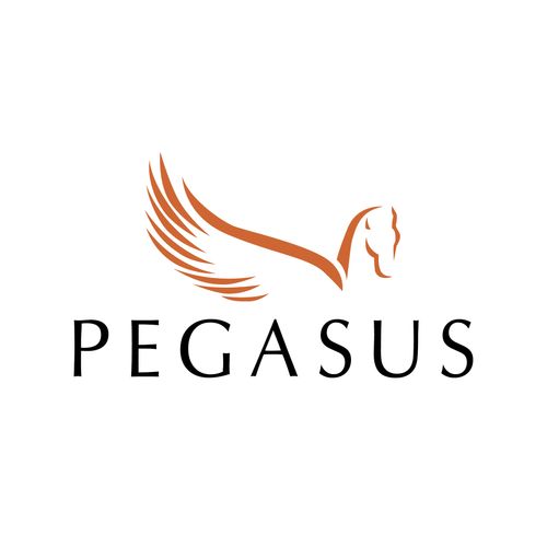 PEGASUS IT CONSULTANCY