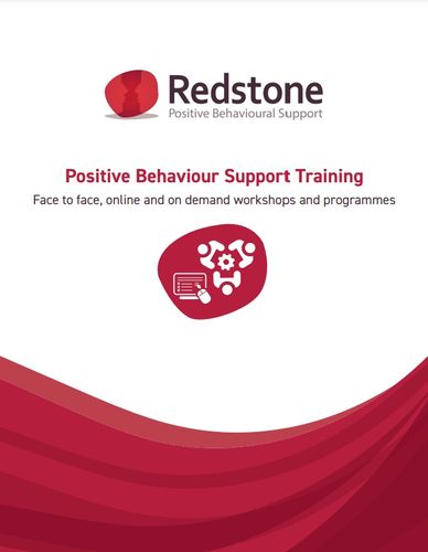 Positive Behaviour Support Training