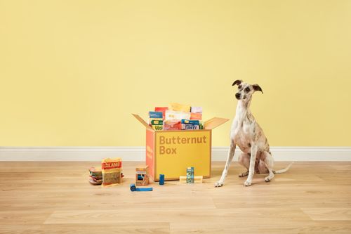 Premium Dog Food