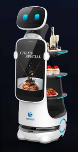 Dinerbot T10