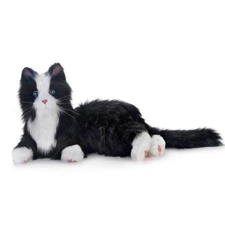 Joy for All Pets: Providing comfort, connection and companionship