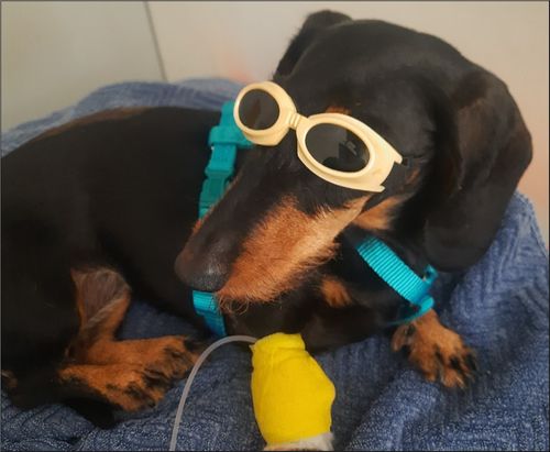 Rehabilitationsmedizin: Voll LASER wie du abgehst! – Therapeutische Lasertherapie
