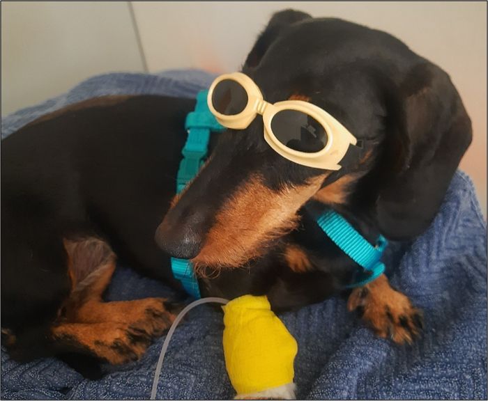 Rehabilitationsmedizin: Voll LASER wie du abgehst! – Therapeutische Lasertherapie