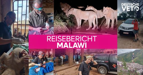 Reisebericht WVS Malawi DV24