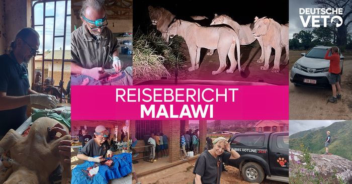 Reisebericht WVS Malawi DV24