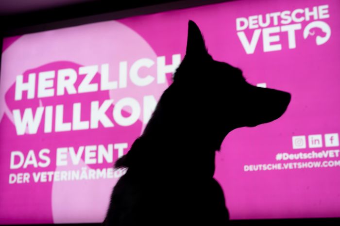 DeutscheVET 2024: Das Highlight-Event der Veterinärmedizin