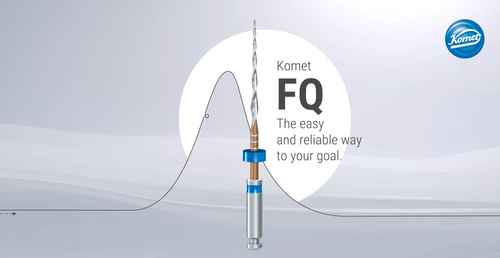  Komet FQ Endodontic File