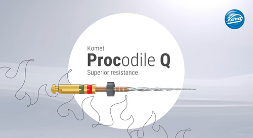 Komet Procodile Q Endodontic file 