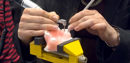 Augma Sinus Lift Course Highlights