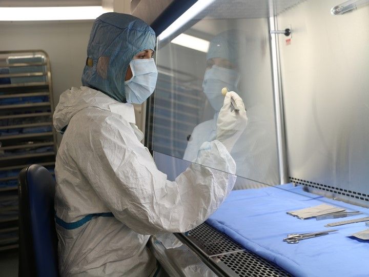 Cenobiologics