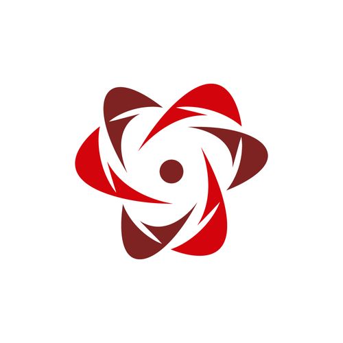 The First Principle Group