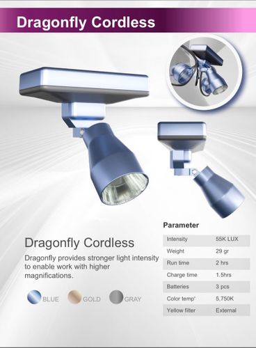 Wireless light