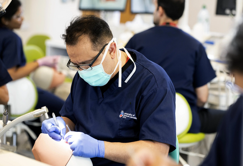Dental Surgery (International Route), BDS