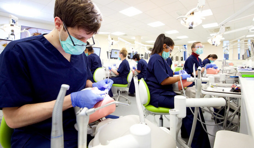 Dental Surgery, BDS