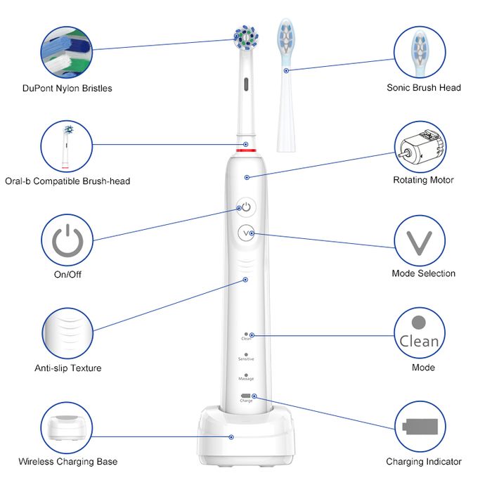 RLT312B Hybrid Dual-Action Toothbrush: 60° Oscillating-Sonic & Rotary 2-in-1 Smart Oral Care Solution