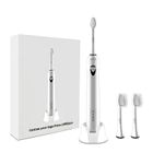 RLT201/221 Professional Sonic Toothbrush: Ultra-Quiet Stainless Steel Motor & 240-Min Endurance (OEM/ODM Ready)