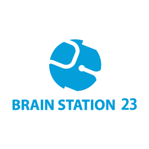 Brain Station 23 LTD