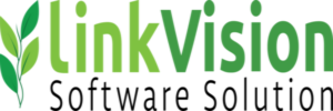 Link Vision Software Solution